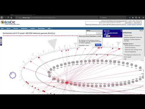 Regulatory Overview Tutorial 2021