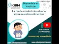 La cruda verdad microbiana sobre nuestros alimentos
