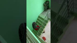 Mai Yha Hu Yha Hu Yaha