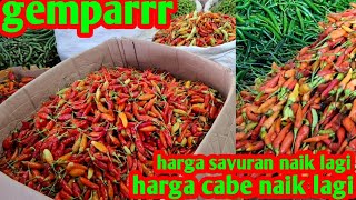 TODAY THE PRICE OF CHILI IS RISING AGAIN #VEGETABLES RISING #CIBITUNG MAIN MARKET #10 FEB 2026
