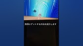 ポケモンオメガルビー 裏技 隠れキャラ エニシダの出し方 Youtube