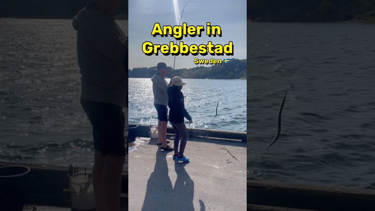 🇸🇪Sweden/Grebbestad❤️Angelglück🎣👍🏻