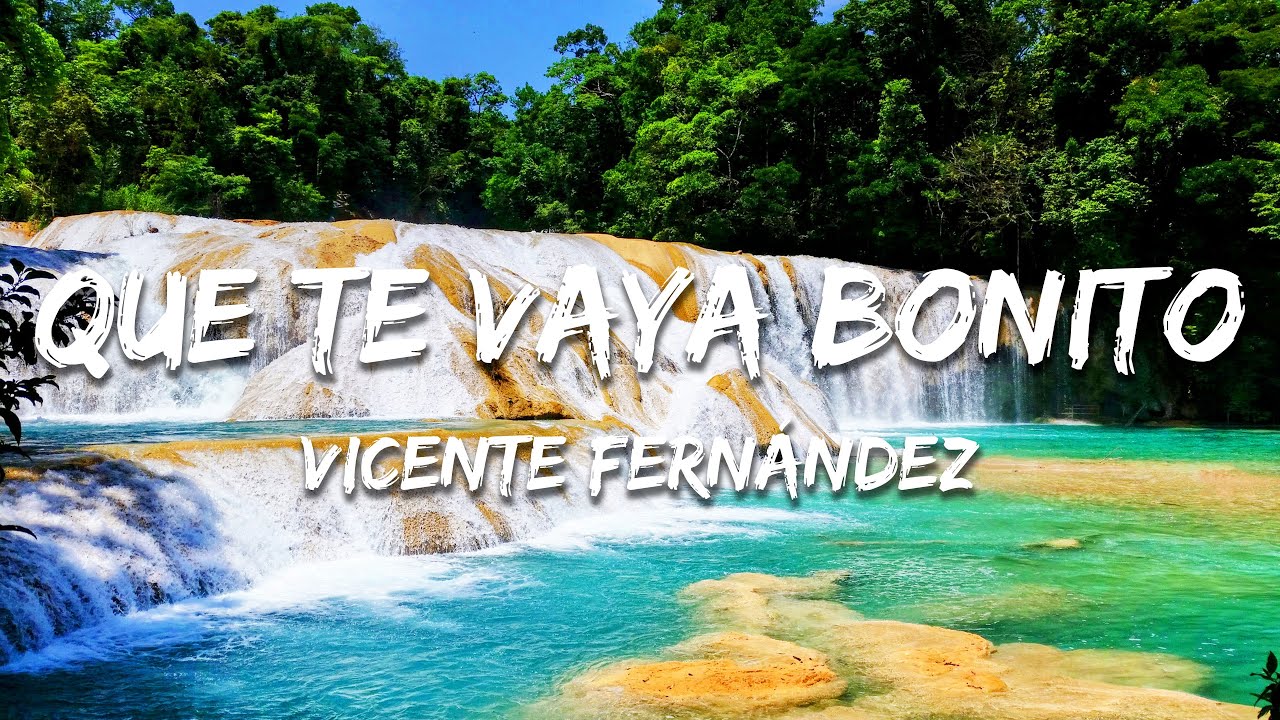Vicente Fernández - Que Te Vaya Bonito (Texto/Lyrics)