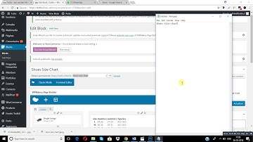 How to create a new size chart in porto wordpress theme if you already saved that size chart as temp
