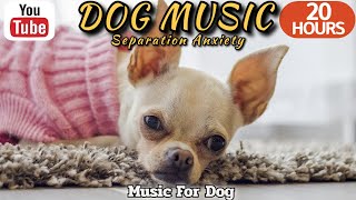 20 HOURS of Dog Calming Music🦮💖Separation Anxiety Relief Music🐶🎵Dog Relaxation⭐Healingmate by HealingMate - Dog Music 34,580 views 8 days ago 20 hours