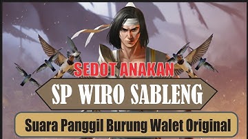 Suara Panggil Burung Walet cocok untuk anakan dan semua Jenis Lokasi || free swiftlet call sound