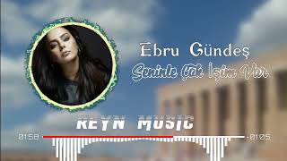 Ebru Gündeş - Seninle Çok İşim Var (REYN MUSIC REMIX) Resimi