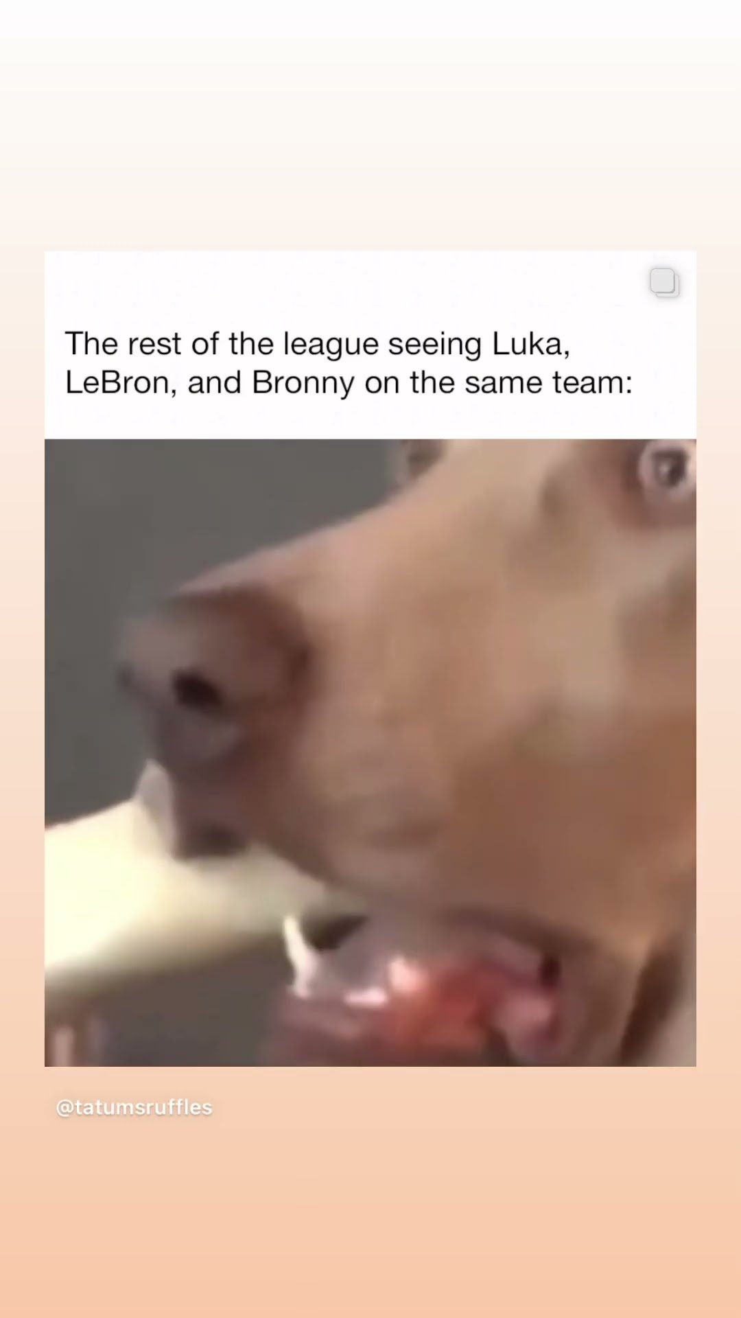 The rest of the league #hoodnews #dog #meme #memes #memesdaily #doglover #reaction #trending #how