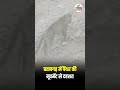 प्रतापगढ़ में पैंथर की मूवमेंट से दहशत #Pratapgarh #Panther #Leopard