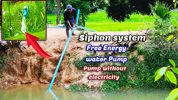 Electric Transfer Water Pump