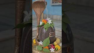 Baba ke mandirva 🔱 shivcharcha geet #shivcharcha #avinash #bhojpuri #bhaktigeet #ak #reels #yt #in