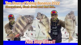 The Best Way to Catch Monster Sheepshead - (Freeport Texas Nov. 18, 2022)