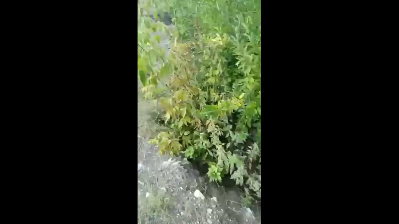 Слив нечистот в Каменск-Уральском - YouTube