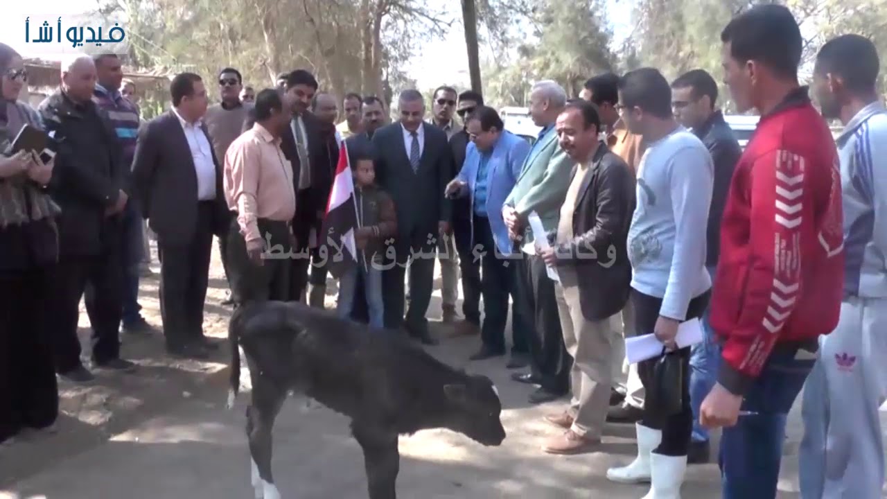 بالفيديو : محافظ سوهاج يتفقد مشروع إنتاج الألبان واللحوم بقرية الديابات بمركز أخميم