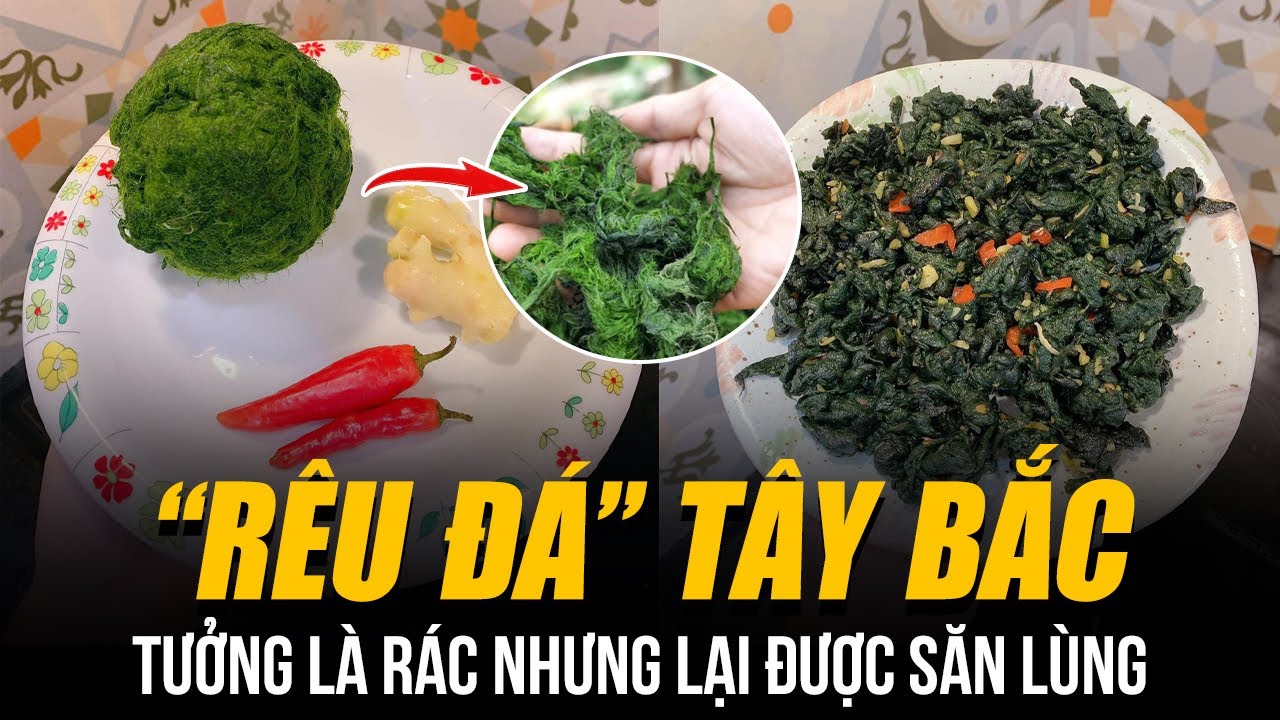 ĐẶC SẢN “RÊU ĐÁ” TÂY BẮC NGON NHỨC NÁCH: NỘM RÊU HAY RÊU NƯỚNG, TƯỞNG ...