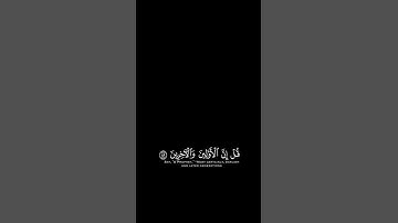 (قل ان الاولين والاخرين)ناصر القطامي #ناصر_القطامي #كرومات_دينية #شاشه_سوداء_بدون_حقوق #آيات