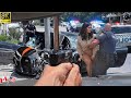 25 MOST BRUTAL High-Speed Police Chases of Criminals Caught on Dashcam 2025! You'd Think Are Fake!