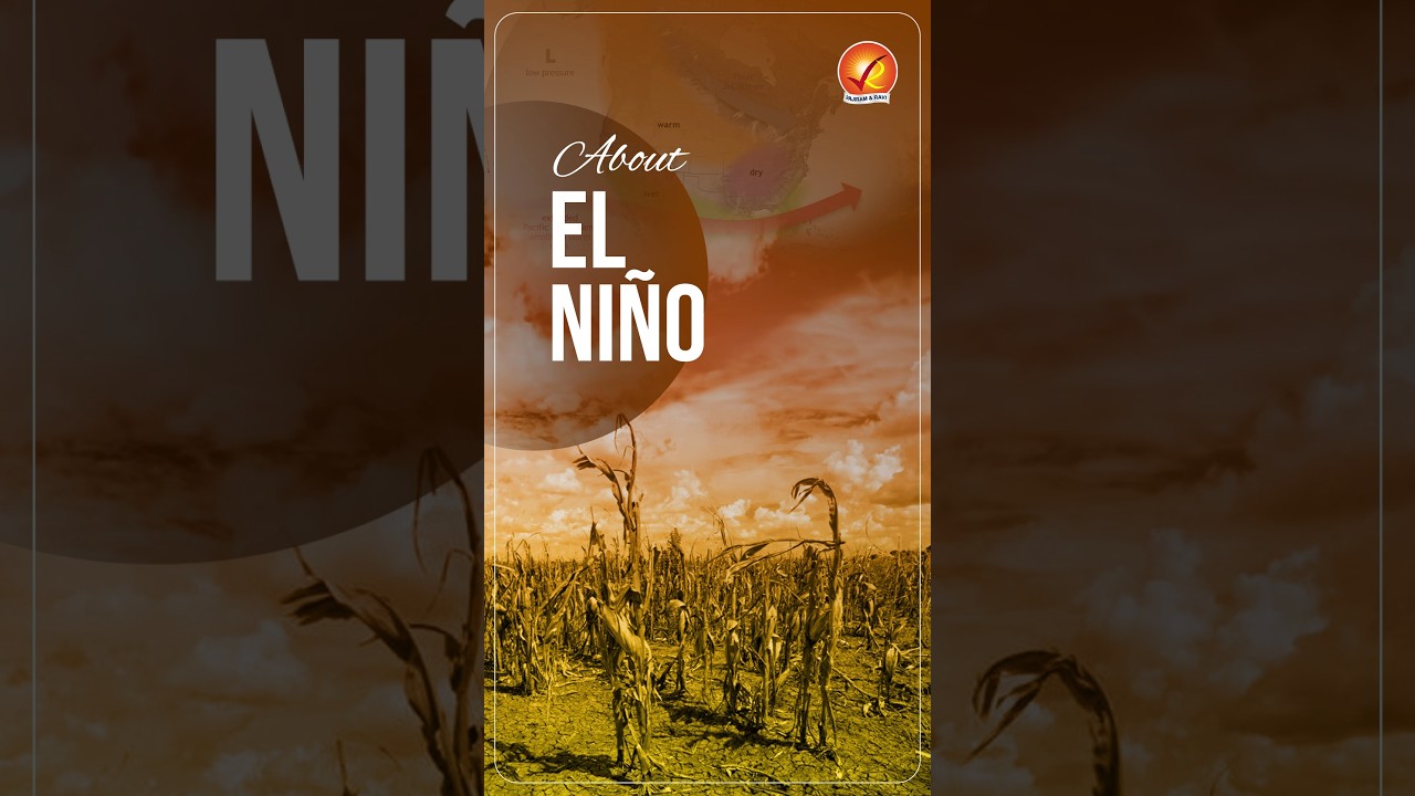 About EL NINO