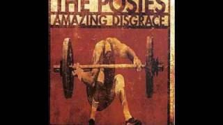 The Posies - Daily mutilation chords