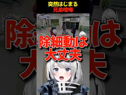 【GTA5/VivaceCity】突然はじまる兄弟喧嘩【初見さん歓迎】【Vtuber】#VivaceCity #スト鯖 #FiveM #GTA5