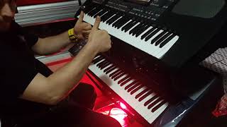 Ayva Çiçek Açmış - Korg pa800 ve Korg pa500tr