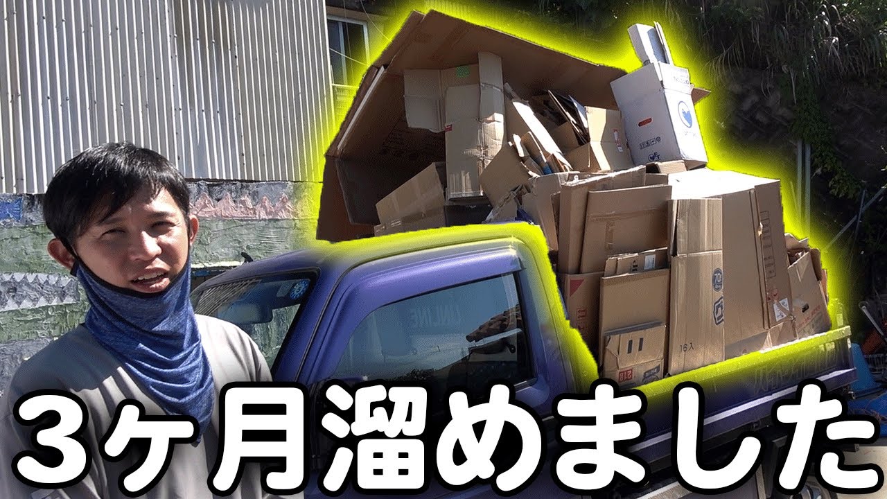 寿ダンボール ザップ ダンボール 60サイズ W310×D220×H65mm 3mm厚 7525 1箱（60枚入