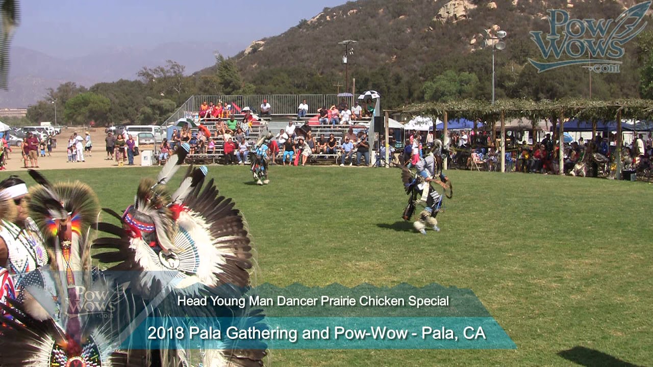 Head Young Man Dancer Chicken Special Pt 2- 2018 Pala - PowWows.com
