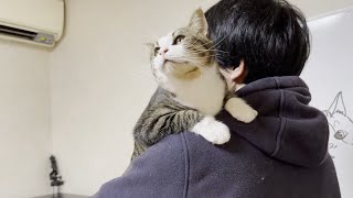 お父さんに抱っこしてアピールをする猫