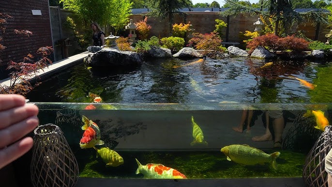 Garden Designs  TOP 3 MOST BEAUTIFUL BACKYARD FISH PONDS IN THE WORLD 