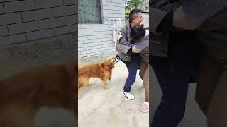 #CuteDogs #DogLovers #PuppyLove #DogsOfYouTube #HappyDog #DogLife 🦄 The Daily Life of Furry 🥰 P127