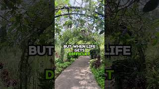 Sometimes the People you Trust the most Teach you the Hardest Lesson #shortvideo  #promise #betrayal