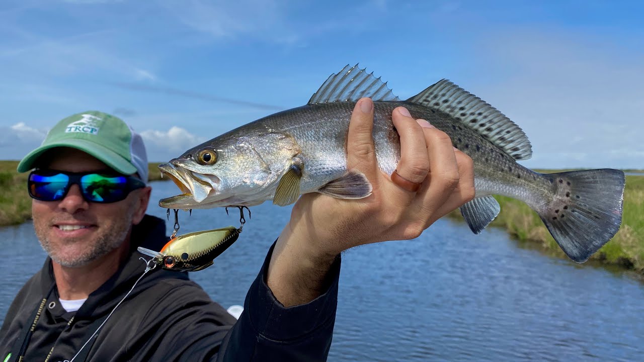 Hot fishing bait valheim