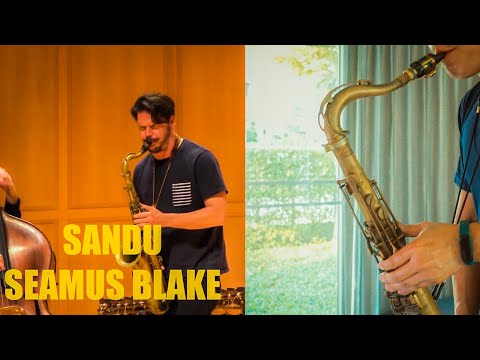 Sandu - Seamus Blake at GMW 2016 (Cover By Katejazs)