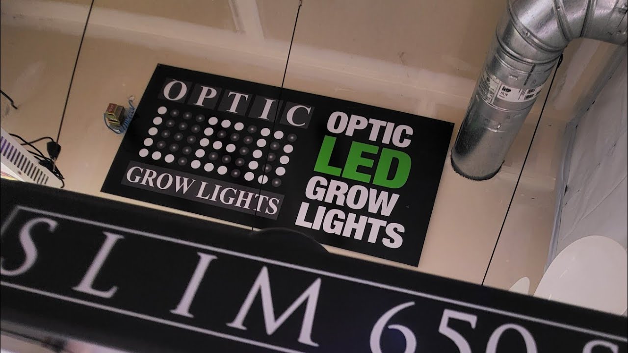 Grow Room Construction Drywall & Paint Slim 650S & Optic 8 Gen3 LED YouTube