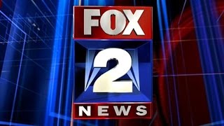 Fox 2 News Broadcast of my Winning Cake