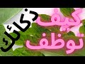 #قصة_الأميرة_و_الراعي الذكي سرّ اللغز قذفتُ ما رأيت وقتلتُ ما لم أرَ ، قصة خيالية قبل النوم.