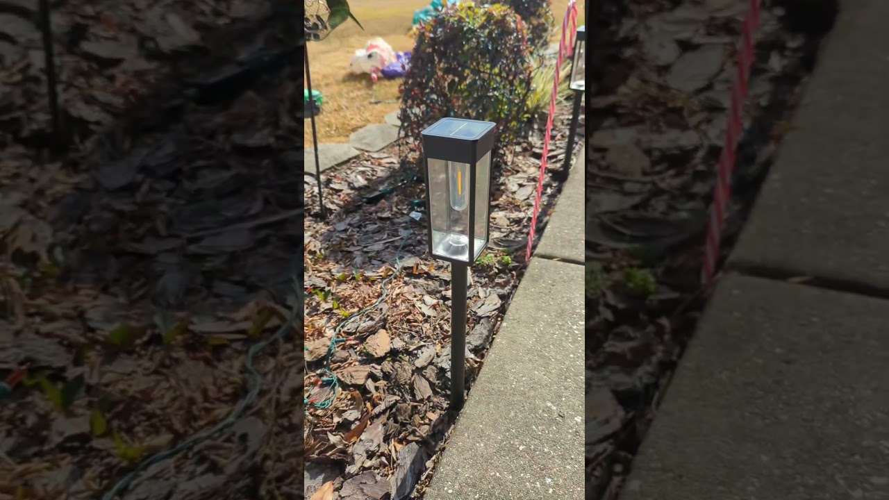 Amazing solar lights for walkways & pathways! 