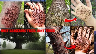 Most Dangerous Trees You Should NEVER Touch ‼️