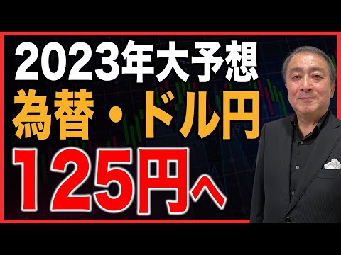 【投資家必見】2023年の為替大予測！ドル円はこう動く【為替/ドル円/FX/円安/武下明徳/たけチャンネル】