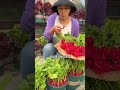 Cherry radishes are easy to grow and can be harvested quickly They can be