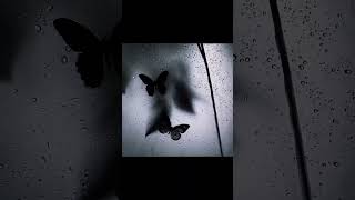 Lo Siento || #trap #music #hiphop #newmusic #rap #musica #art #artist #artista #nax #naxgodboy #fypシ