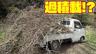 【山復興第2弾#100】こんな軽トラ見た事ない！？超過積載で雑木を運ぶ！！