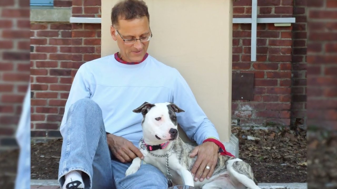 Len Morrell for New York State Senate YouTube