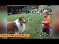Adorable Babies Playing with Dogs and Cats 🐶 🐱- Part2