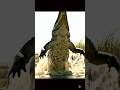 "5 Million Years Ago: Cavemen vs Crocodile 🐊🔥 | Prehistoric Survival Chase!"