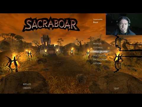 LETS PLAY Sacraboar