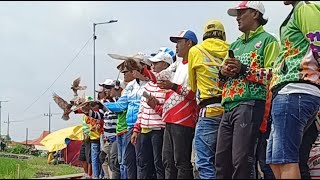 Download Lagu Mb Madura sedang live sekarang! MP3