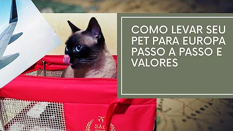 Como trazer um gato dos Estados Unidos?