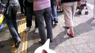 SANY8351.AVI