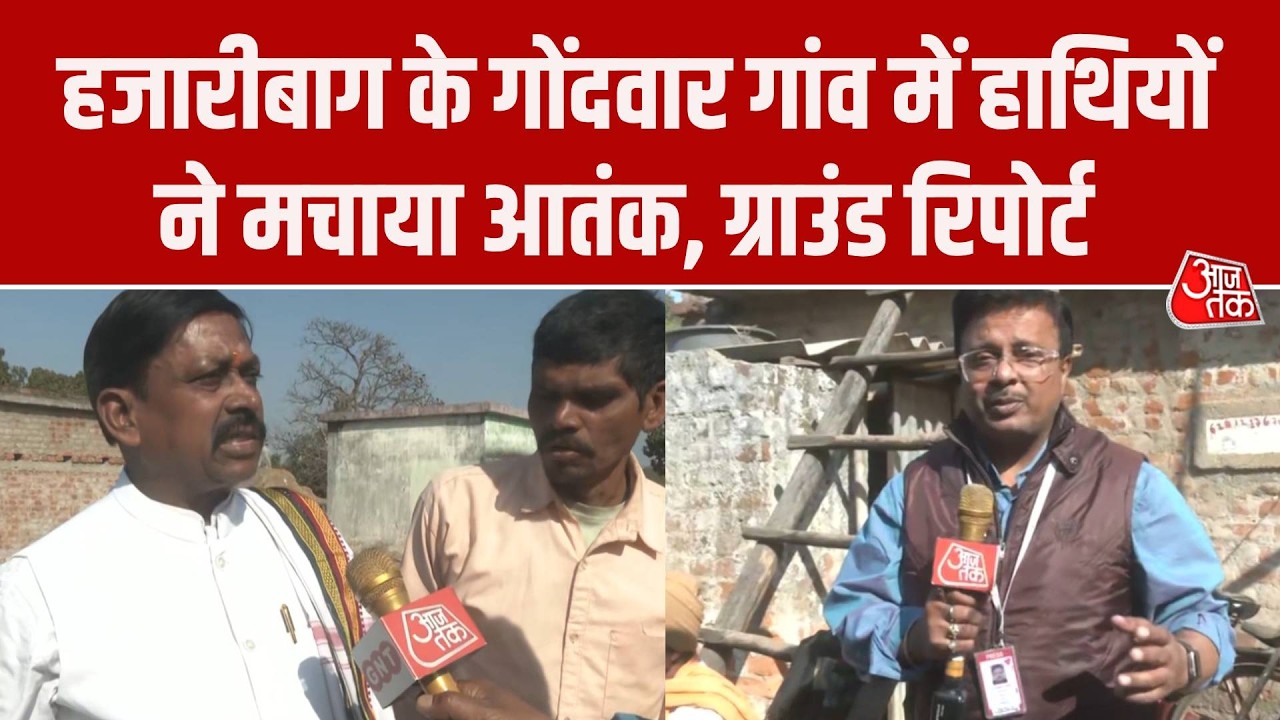 Jharkhand elephant attack: Hazaribagh के गोंदवार गांव में हाथियों ने कैसे मचाया आतंक,   रिपोर्ट